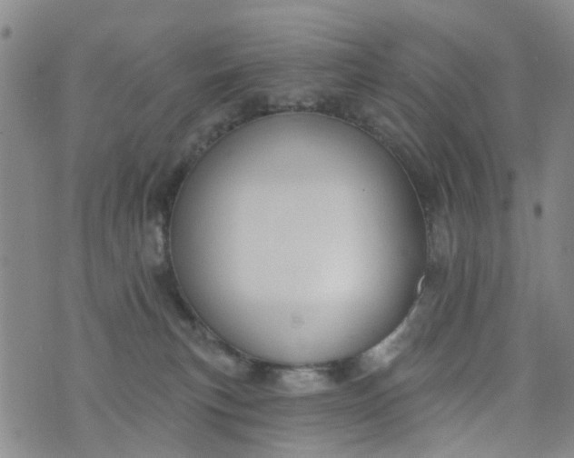 X0000076400183200610202139