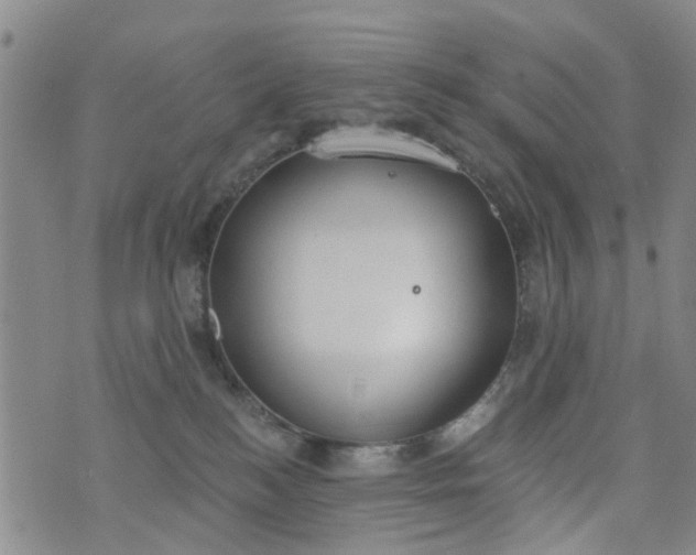 X0000076400184200610202139