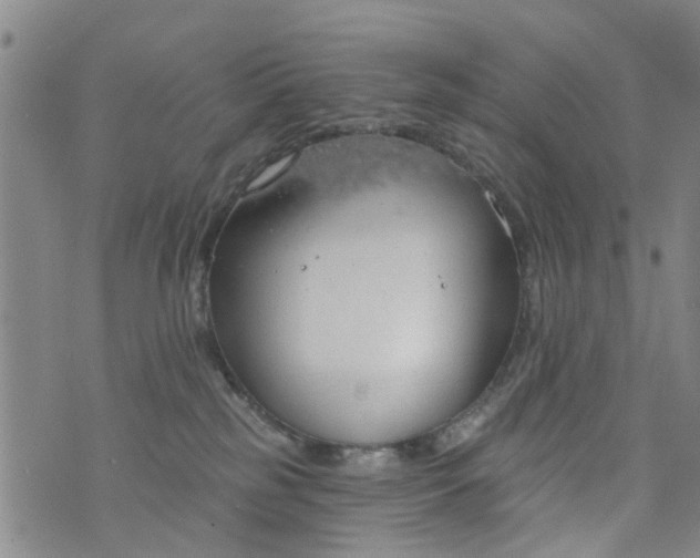 X0000076400185200610202139