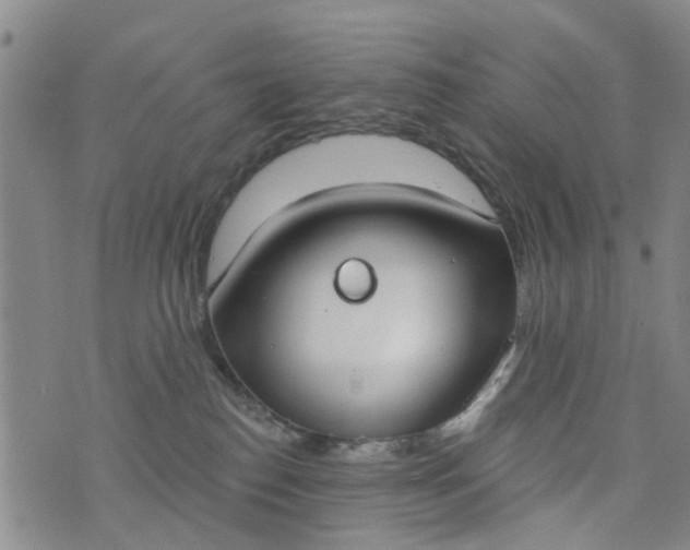 X0000076400186200610202139