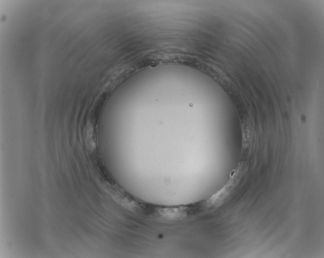 X0000076400187200610202139