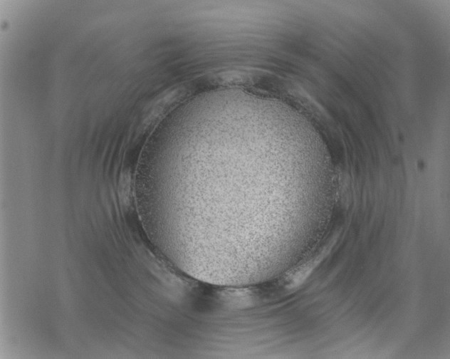 X0000076400189200610202139