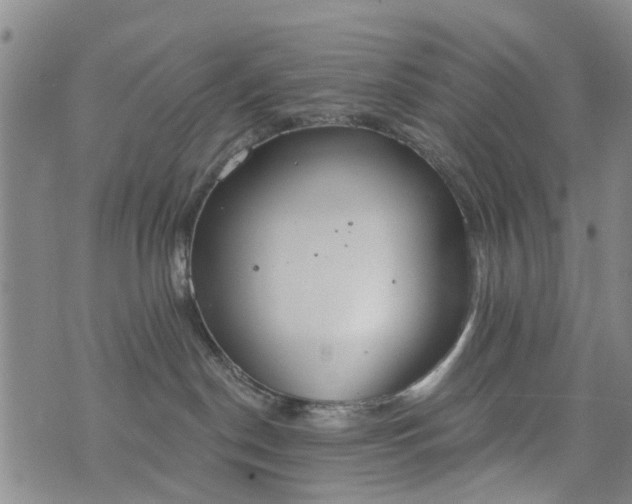 X0000076400190200610202139