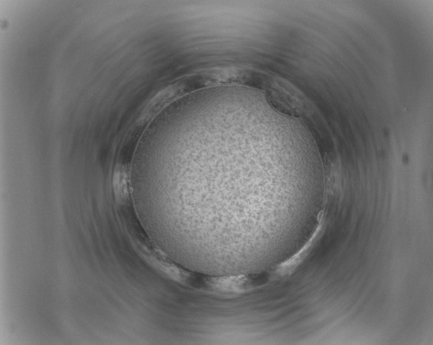 X0000076400191200610202139