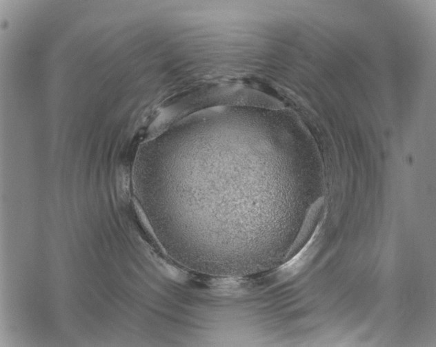 X0000076400192200610202139