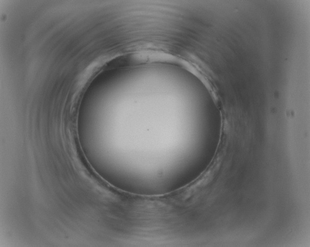 X0000076400193200610202138