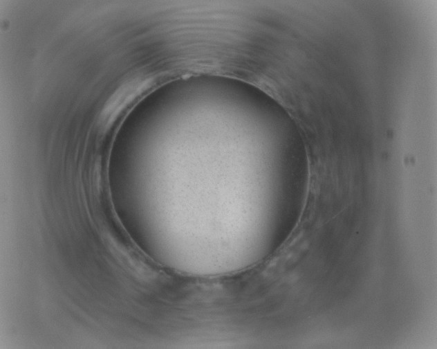 X0000076400194200610202138