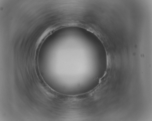 X0000076400195200610202138