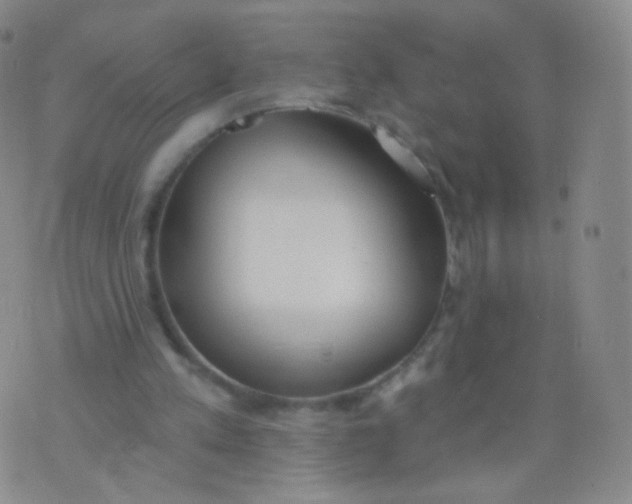 X0000076400197200610202138