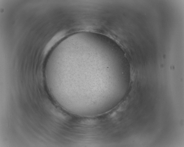 X0000076400198200610202138