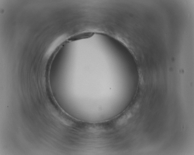 X0000076400199200610202138