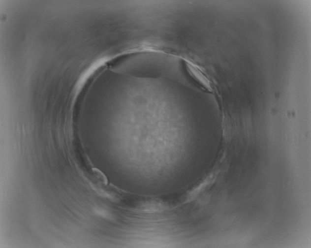 X0000076400200200610202138