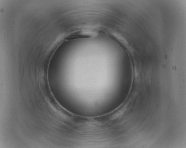 X0000076400201200610202138