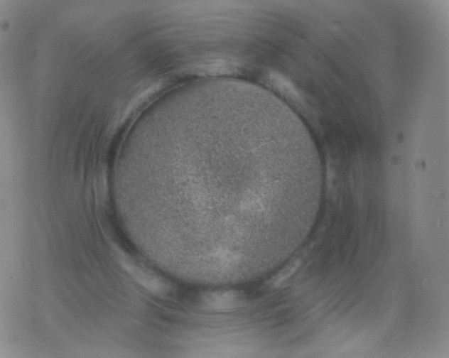 X0000076400202200610202138