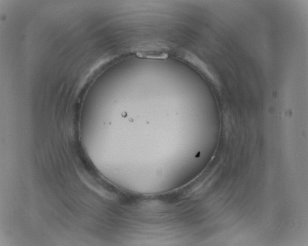 X0000076400203200610202138