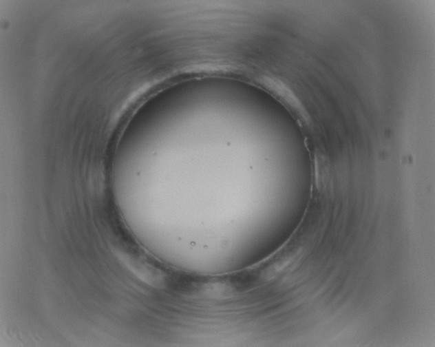 X0000076400204200610202138