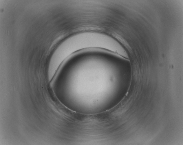 X0000076400207200610202138