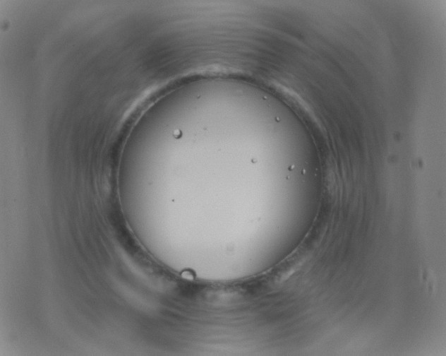 X0000076400208200610202138