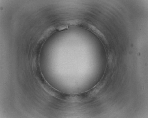 X0000076400209200610202138