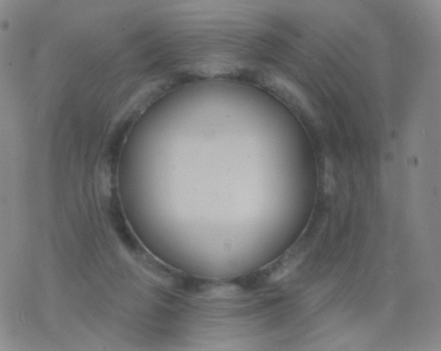 X0000076400210200610202138