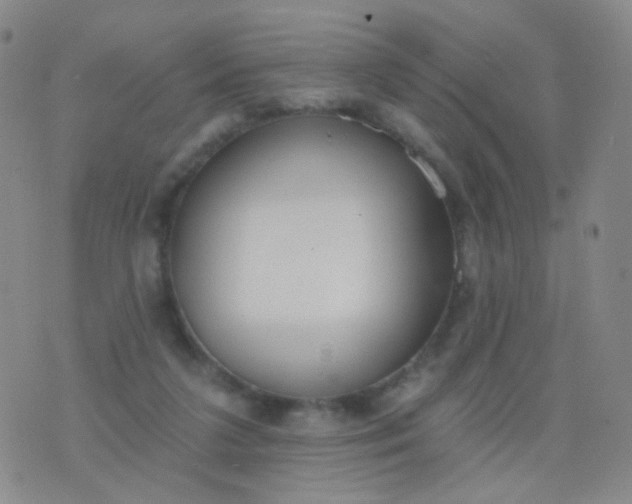 X0000076400211200610202138