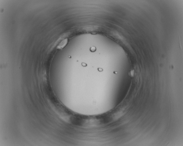 X0000076400212200610202138