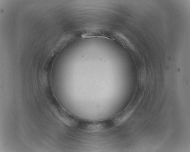 X0000076400213200610202138