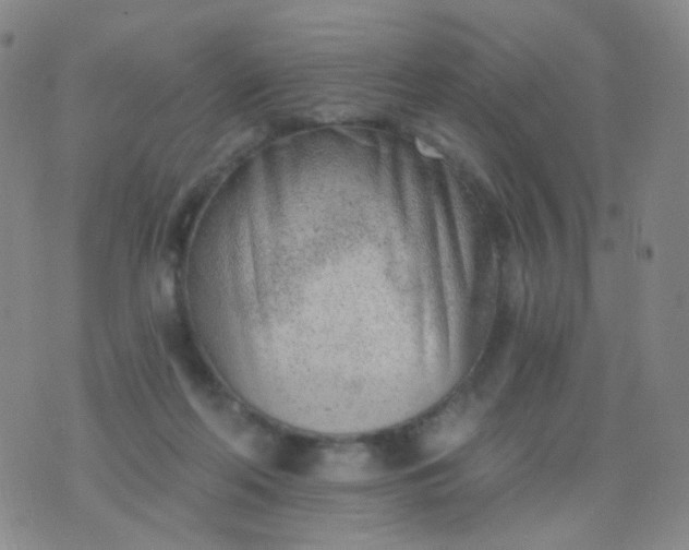 X0000076400214200610202138