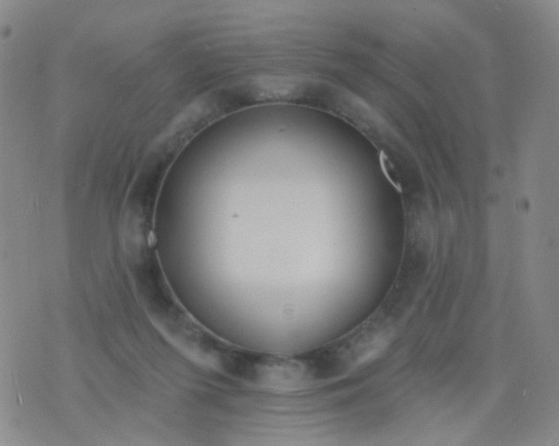 X0000076400215200610202138