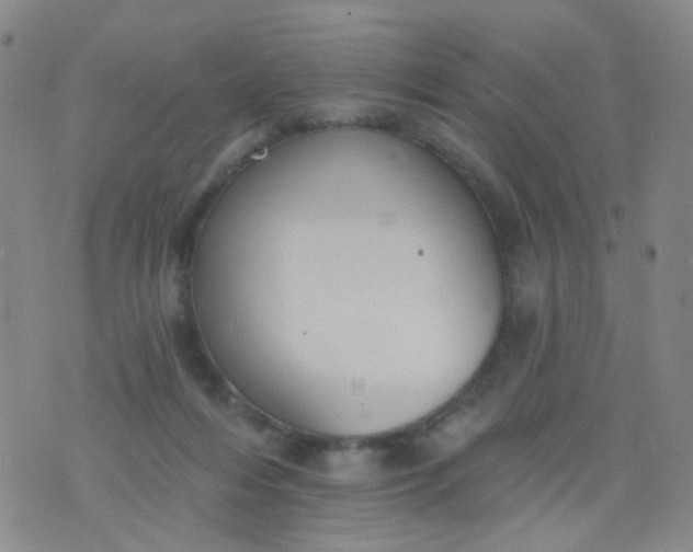 X0000076400216200610202138