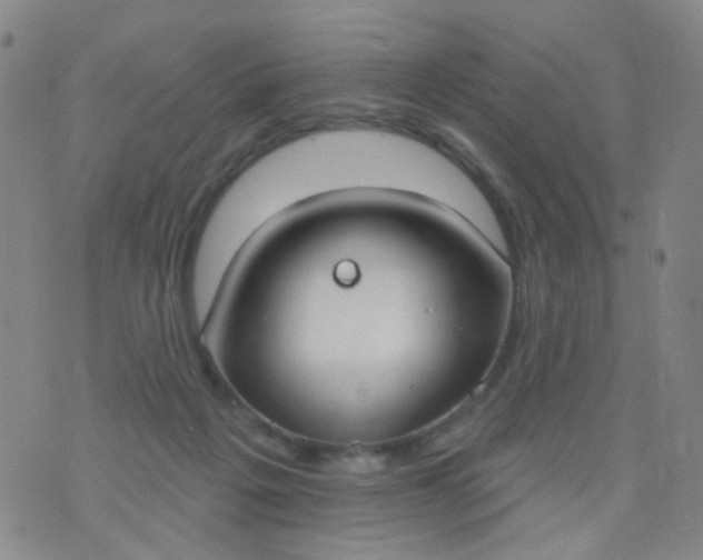 X0000076400217200610202138