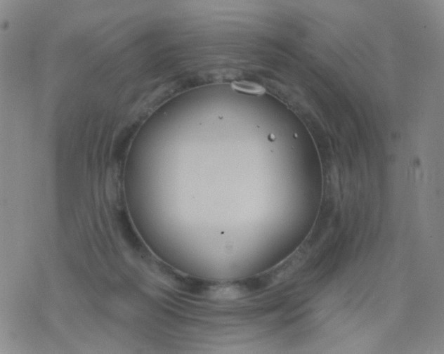 X0000076400218200610202138