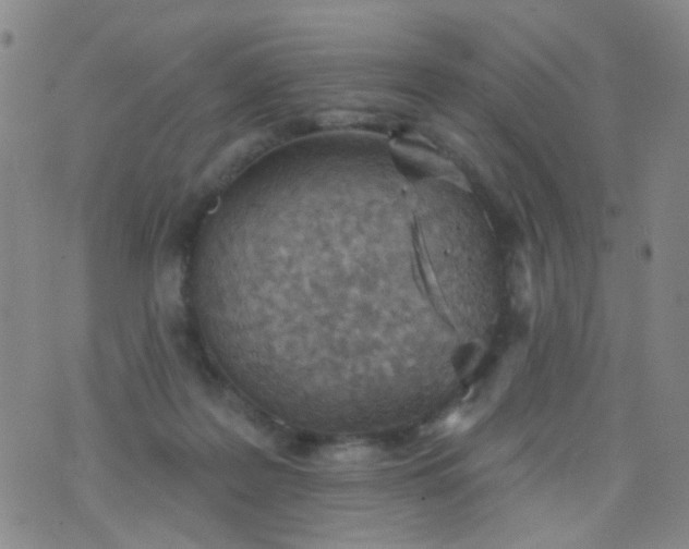 X0000076400219200610202138