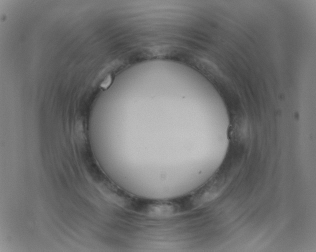 X0000076400220200610202138