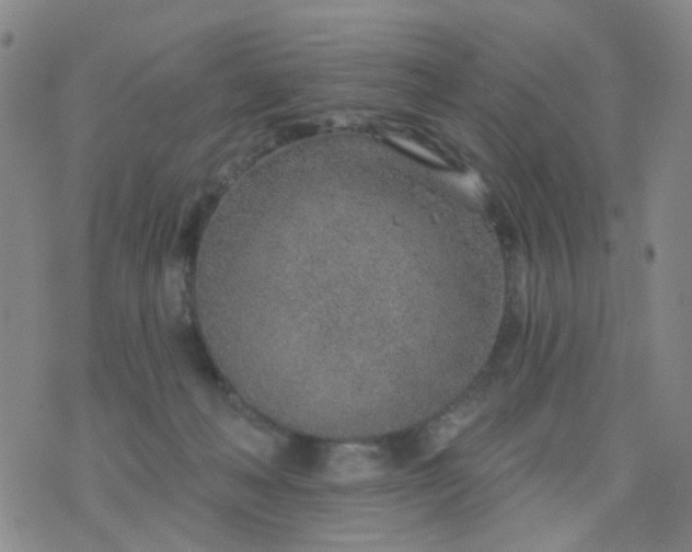 X0000076400222200610202138