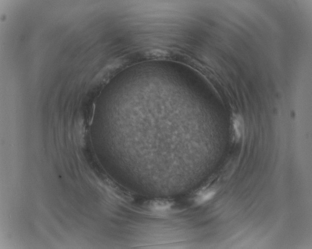 X0000076400223200610202138