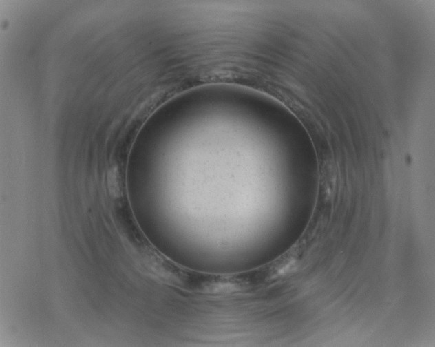 X0000076400224200610202138