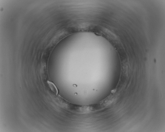 X0000076400225200610202138