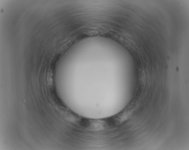 X0000076400226200610202138