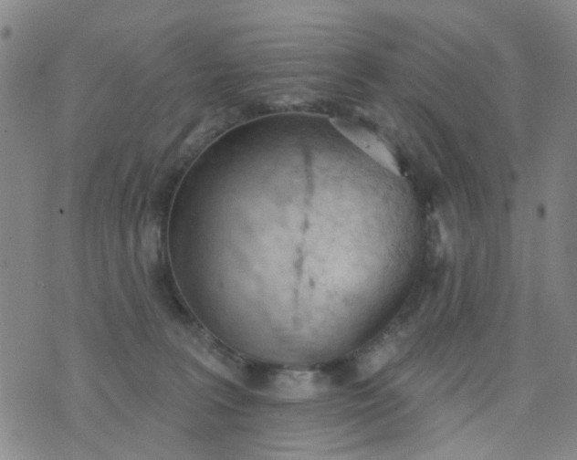 X0000076400227200610202138