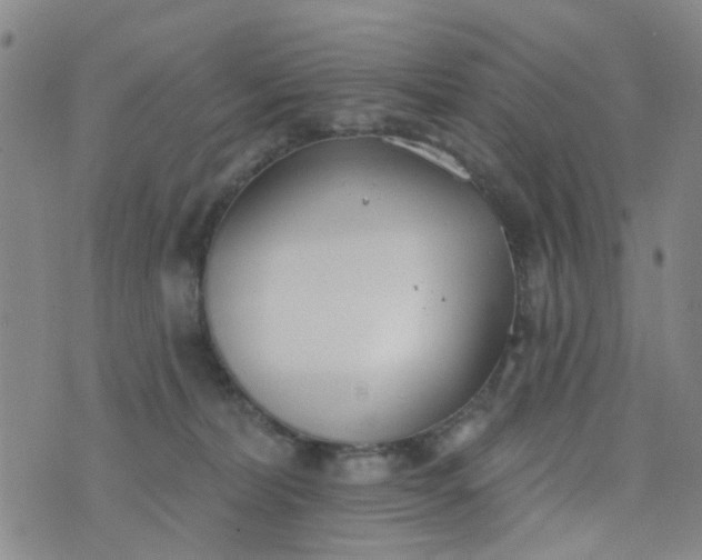 X0000076400228200610202138