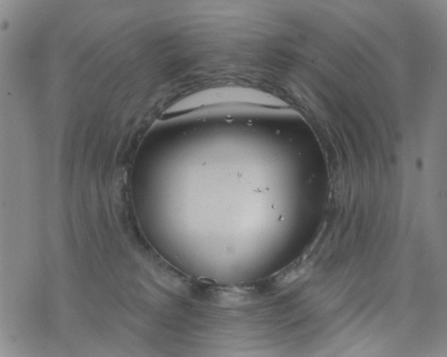 X0000076400229200610202138