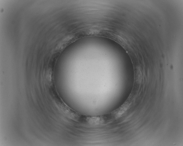 X0000076400230200610202138