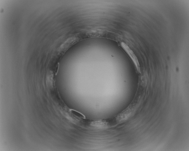 X0000076400231200610202138