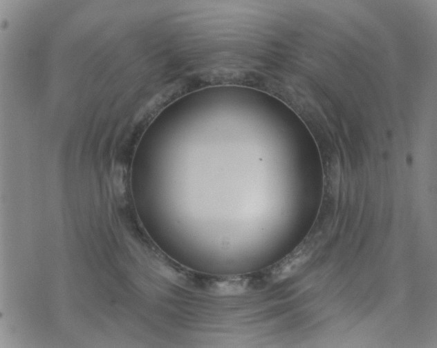 X0000076400232200610202138