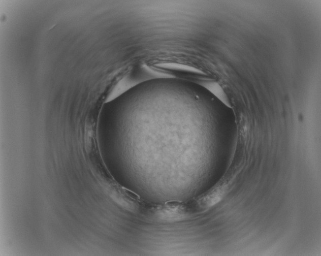 X0000076400235200610202138