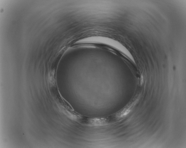 X0000076400239200610202138