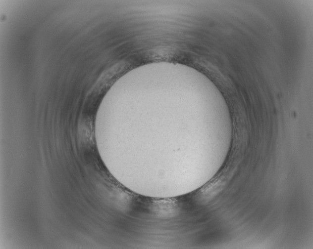 X0000076400240200610202138