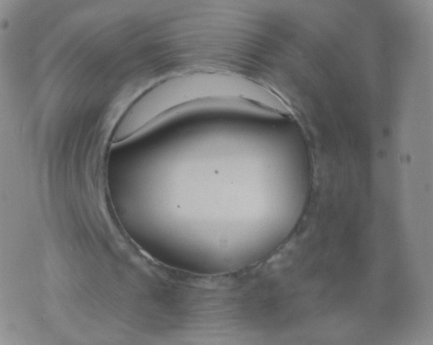 X0000076400241200610202137