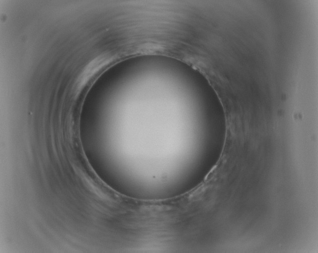 X0000076400242200610202137